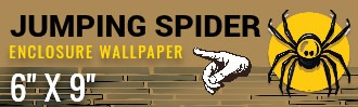 JUMPING SPIDER ENCLOSURE BACKGROUND WALLPAPER- 6X9 | Ron Beck Designs