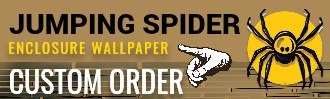 JUMPING SPIDER ENCLOSURE BACKGROUND WALLPAPER- CUSTOM ORDER | Ron Beck Designs