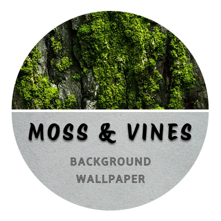 Moss and Vines Backgrounds nano tank reptile spider betta fish