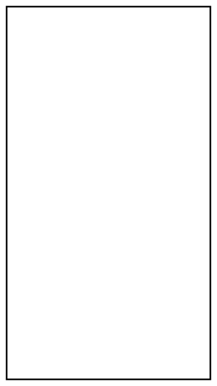 ONE LINE INSIDE BLACK FRAME BORDER