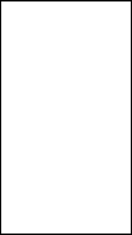 ONE LINE OUTSIDE BLACK FRAME BORDER