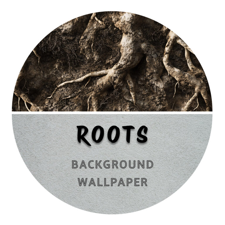 Roots Backgrounds nano tank reptile spider betta fish