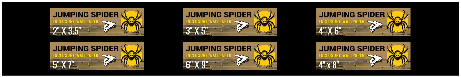 Jumping Spider Backgrounds Sizes