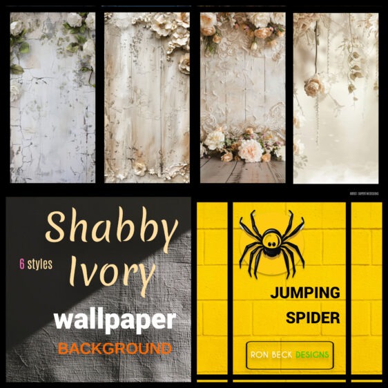 Shabby Ivory—Jumping Spider enclosure wallpaper background