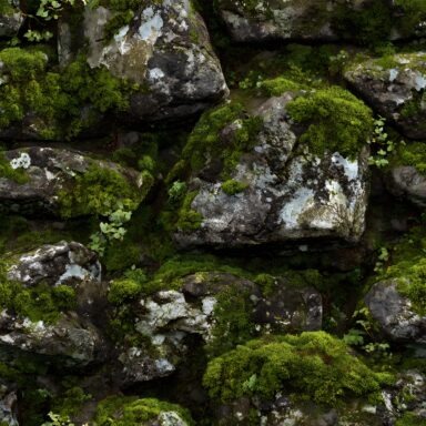 Moss Textures Seamless (16)
