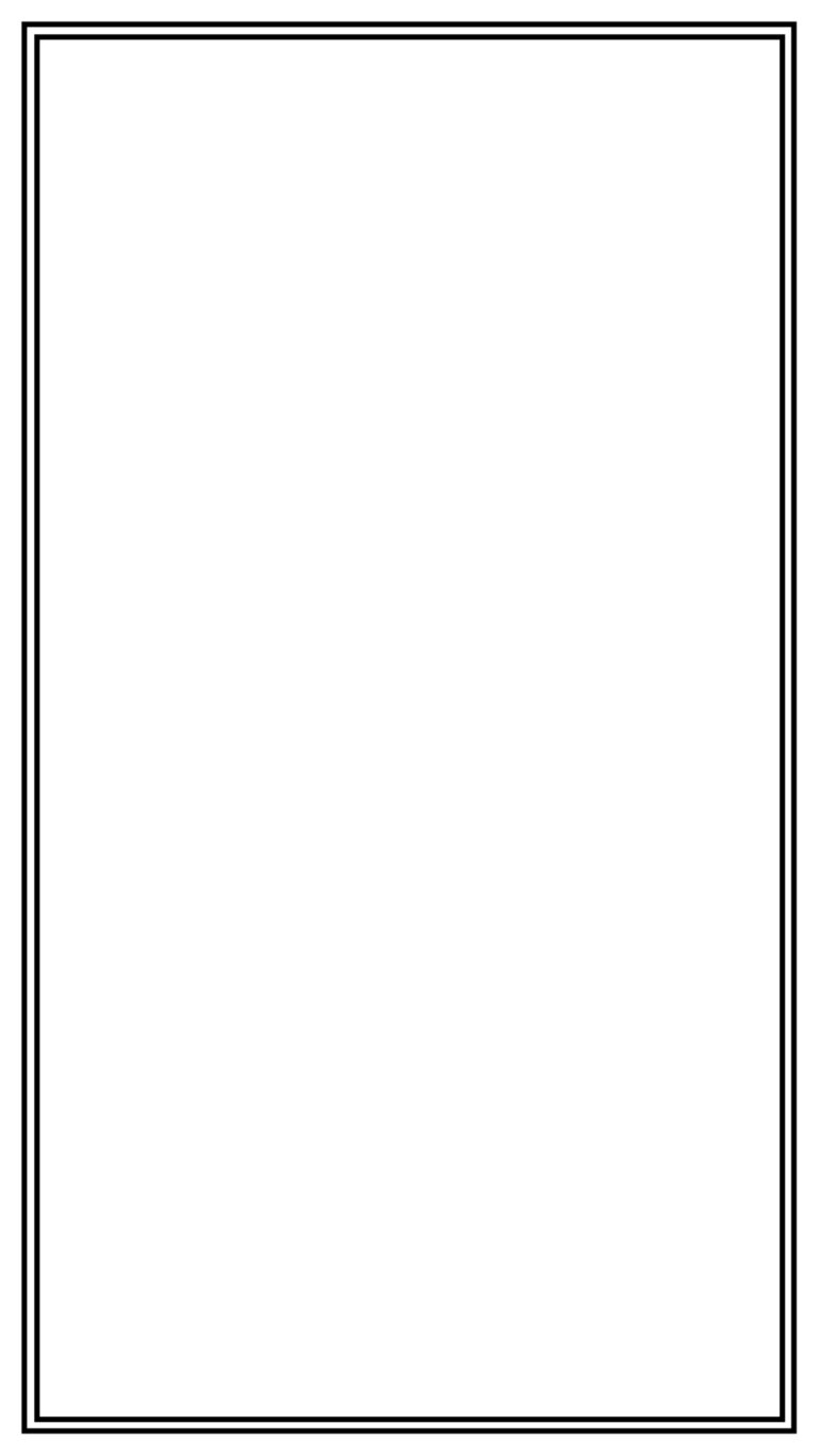 TWO LINES INSIDE BLACK FRAME BORDER
