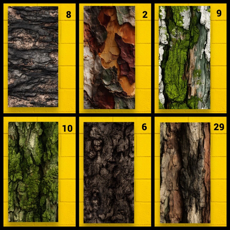 Tree Bark Textures – Jumping Spider enclosure wallpaper background 6 Grids Collage