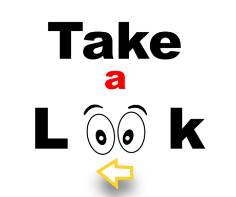 Tiki Haida- Jumping Spider enclosure wallpaper background 7 Grids Collage