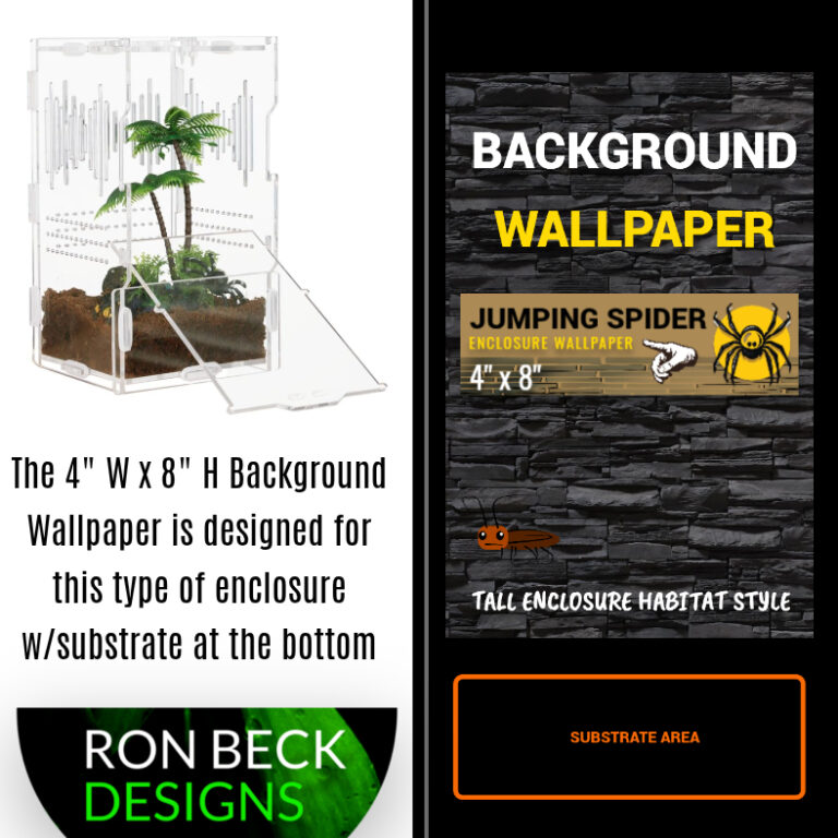 Background wallpaper jumping spider, insect enclosure 4 x 8 style