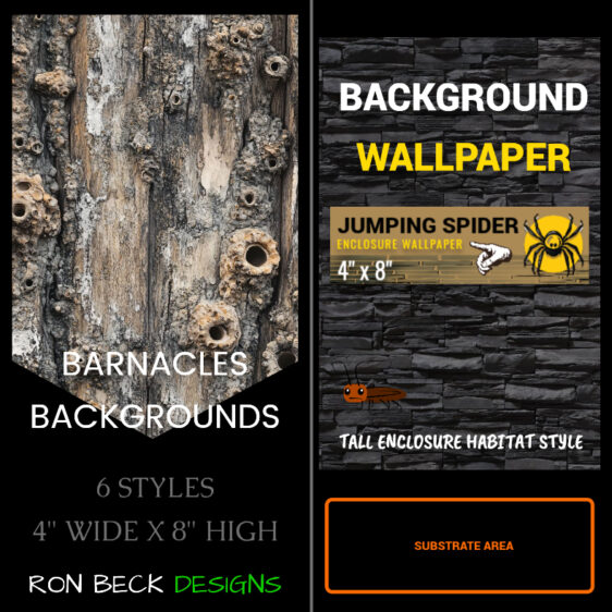 Barnacles backgrounds jumping spider insect enclosure - 4 x 8