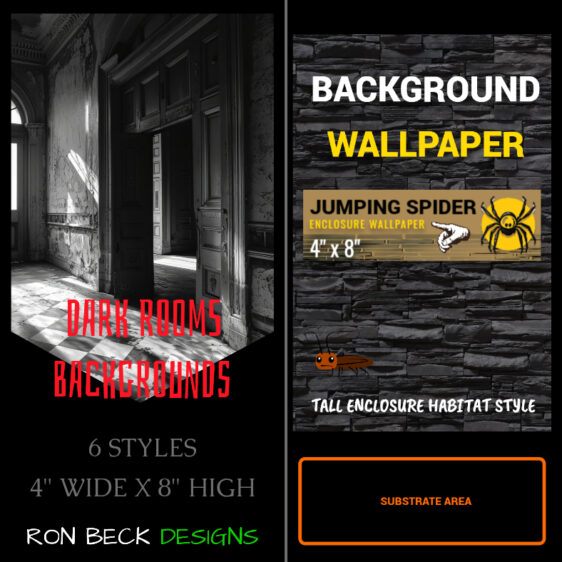 Dark rooms backgrounds jumping spider insect enclosure - 4 x 8