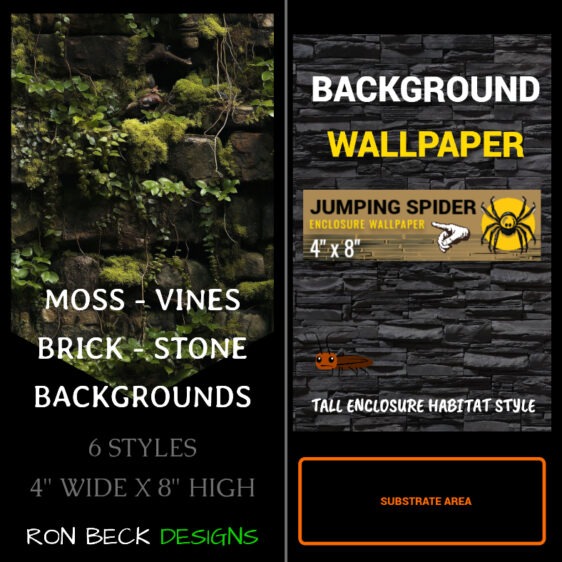 Moss vines brick stone backgrounds jumping spider insect enclosure – 4″ x 8″