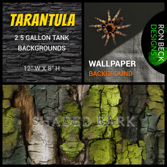 Tarantula enclosure backgrounds | Bark and moss| 2.5 Gallon Tank