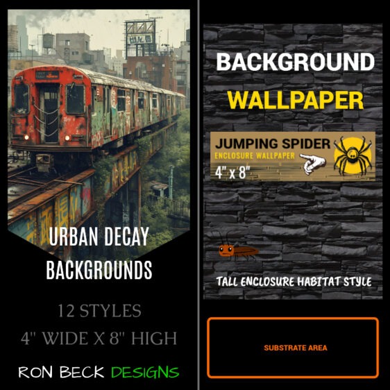 Urban decay backgrounds jumping spider insect enclosure - 4 x 8