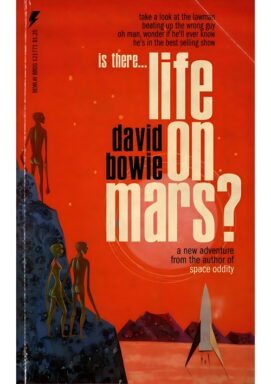 Retro concert posters-23