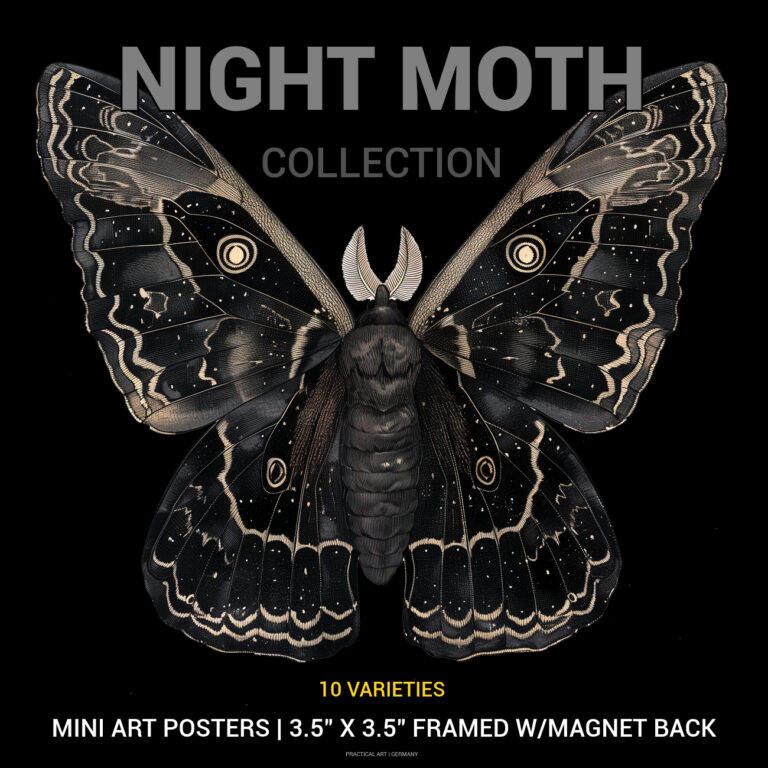 NIGHT MOTH COLLECTION 10 4 X 4 ART 300 DPI copy