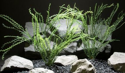 plastic aquarium plants bead grass pap207 plastic ron beck designs aquarium plants bead grass pap207 plastic ron beck designs