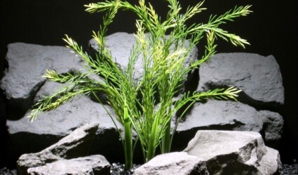 plastic aquarium plants green wheat grass pap045 plstc. plot ron beck designs
