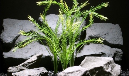 Design Portfolio Aquarium Decor Plants 114 plastic aquarium plants green wheat grass pap045 plstc. plot ron beck designs