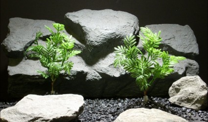 aquarium plants island trees mini pap202 ron beck designs aquarium plants island trees mini pap202 ron beck designs