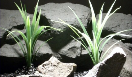 aquarium plants leaf blades parp058 plstc. ron beck designs