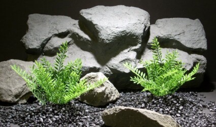 aquarium plants leafy leaves mini pap200 ron beck designs aquarium plants leafy leaves mini pap200 ron beck designs