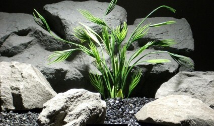 aquarium plants mermaid grass parp003 plastic ron beck designs aquarium plants mermaid grass parp003 plastic ron beck designs