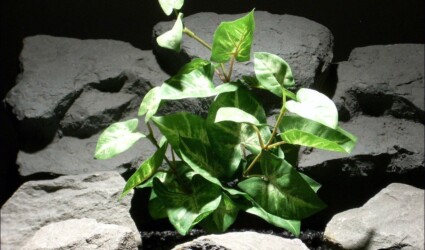 Design Portfolio Reptile Plants & Succulents 216 silk aquarium plants puff neph bsh sarp049 ron beck designs