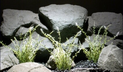 aquarium plants wild heather minis pap070 plstc. ron beck designs