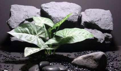 silk reptile arrowhead philo lvs sap389 silk ron beck designs silk reptile arrowhead philo lvs sap389 silk ron beck designs