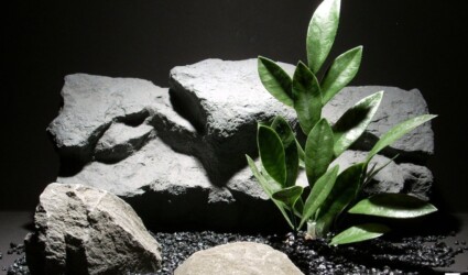 aquarium plants staghorn fern pap193 plastic ron beck designs aquarium plants staghorn fern pap193 plastic ron beck designs