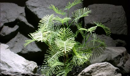 plastic aquarium plant star glory pap077 ron beck designs plastic aquarium plant star glory pap077 ron beck designs