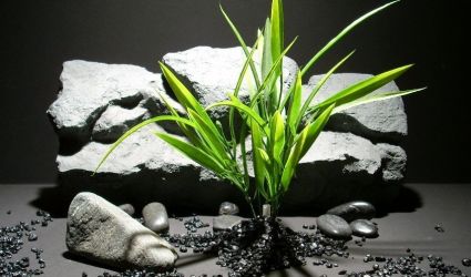 plastic aquarium plants blade grass green pap171 plstc. ron beck designs plastic aquarium plants blade grass green pap171 plstc. ron beck designs