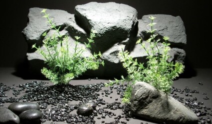 plastic aquarium plants cactus grass pap180 plastic. ron beck designs plastic aquarium plants cactus grass pap180 plastic. ron beck designs