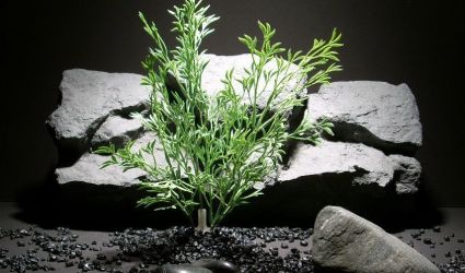 plastic aquarium plants fern spray seafoam pap133 plstc. ron beck designs plastic aquarium plants fern spray seafoam pap133 plstc. ron beck designs