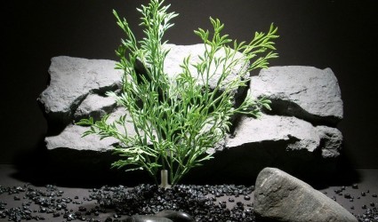 plastic aquarium plants fern spray seafoam pap133 plstc. ron beck designs plastic aquarium plants fern spray seafoam pap133 plstc. ron beck designs