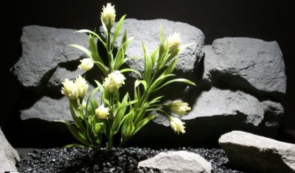 plastic aquarium plants protea white pap189 plastic ron beck designs