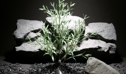 plastic aquarium plants rosemary spray pap138 plastic ron beck designs plastic aquarium plants rosemary spray pap138 plastic ron beck designs
