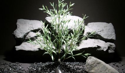 plastic aquarium plants rosemary spray pap138 plastic ron beck designs plastic aquarium plants rosemary spray pap138 plastic ron beck designs