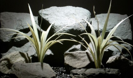 Design Portfolio Aquarium Decor Plants 109 plastic aquarium plants vanilla grass cream parp085 ron beck designs