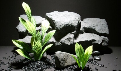 Design Portfolio Reptile Plants & Succulents 219 plastic aquarium plants zz leaves pap181 plastic. ron beck designs