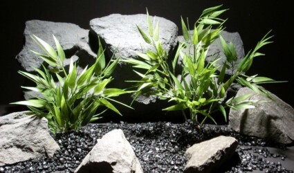 Design Portfolio Reptile Plants & Succulents 220 plastic bamboo set 2 plastic pap0188 ron beck designs