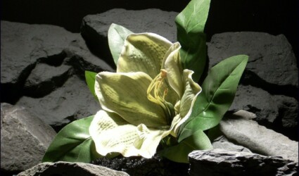Design Portfolio Reptile Plants & Succulents 257 silk reptile habitat plants Amaryllis srp057 silk ron beck designs.jpg