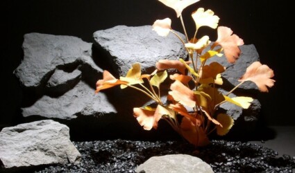 reptile habitat plants ginko lvs fall sap401 ron beck designs reptile habitat plants ginko lvs fall sap401 silk ron beck designs