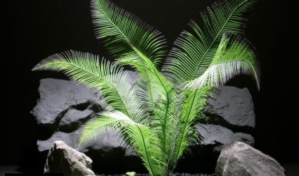 reptile habitat plants green tail fern leaves prp004 plastic by ron beck designs reptile habitat plants green tail fern leaves prp004 plastic by ron beck designs