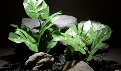 silk reptile habitat plants split leaf philo sap404 silk ron beck designs silk reptile habitat plants split leaf philo sap404 silk ron beck designs