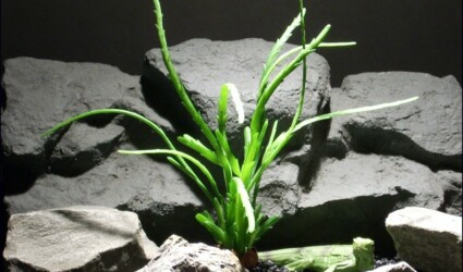 Design Portfolio Reptile Plants & Succulents 254 reptile habitat plants succulent prp055 latex rubber ron beck designs