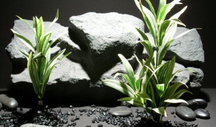 silk aquarium plants spider plant sap363 silk ron beck designs silk aquarium plants spider plant sap363 silk ron beck designs