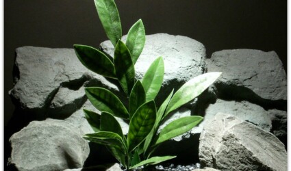 plastic aquarium plant | bay leaf #pap090 | $7.99 plastic aquarium plants bay leaf pap090 ron beck designs
