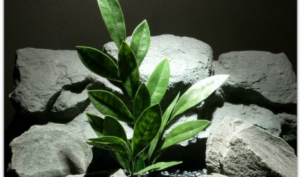 plastic aquarium plant | bay leaf #pap090 | $7.99 plastic aquarium plants bay leaf pap090 ron beck designs